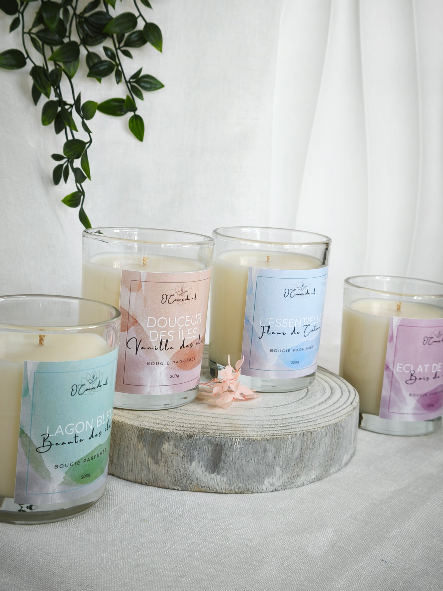 Collection Harmonie