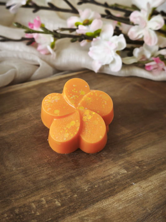 Fondant parfumé - Passion Gingembre