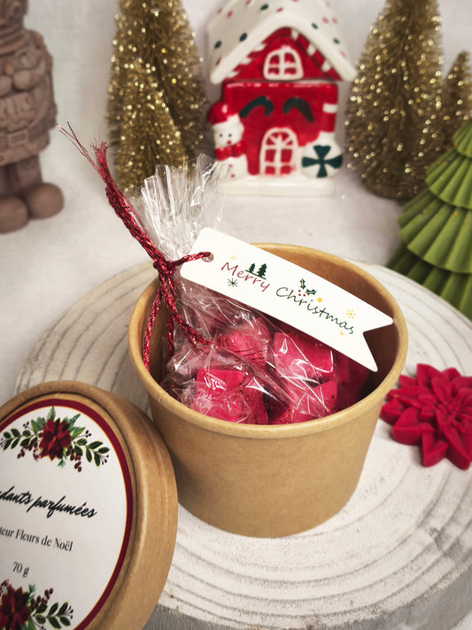 Pot de Fondants Étoilés – Fleur de Noël